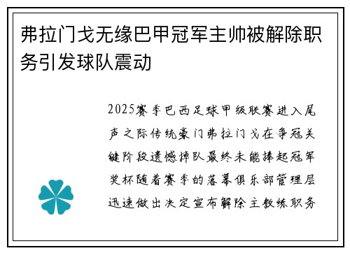 弗拉门戈无缘巴甲冠军主帅被解除职务引发球队震动