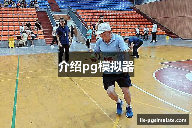 介绍pg模拟器